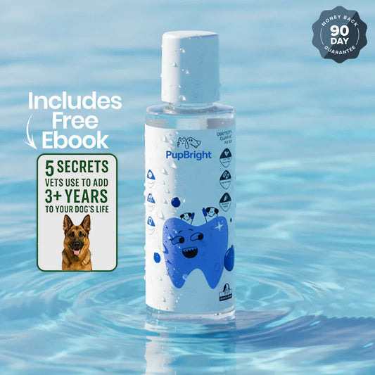 PupBright Vet-Grade Water Additive
