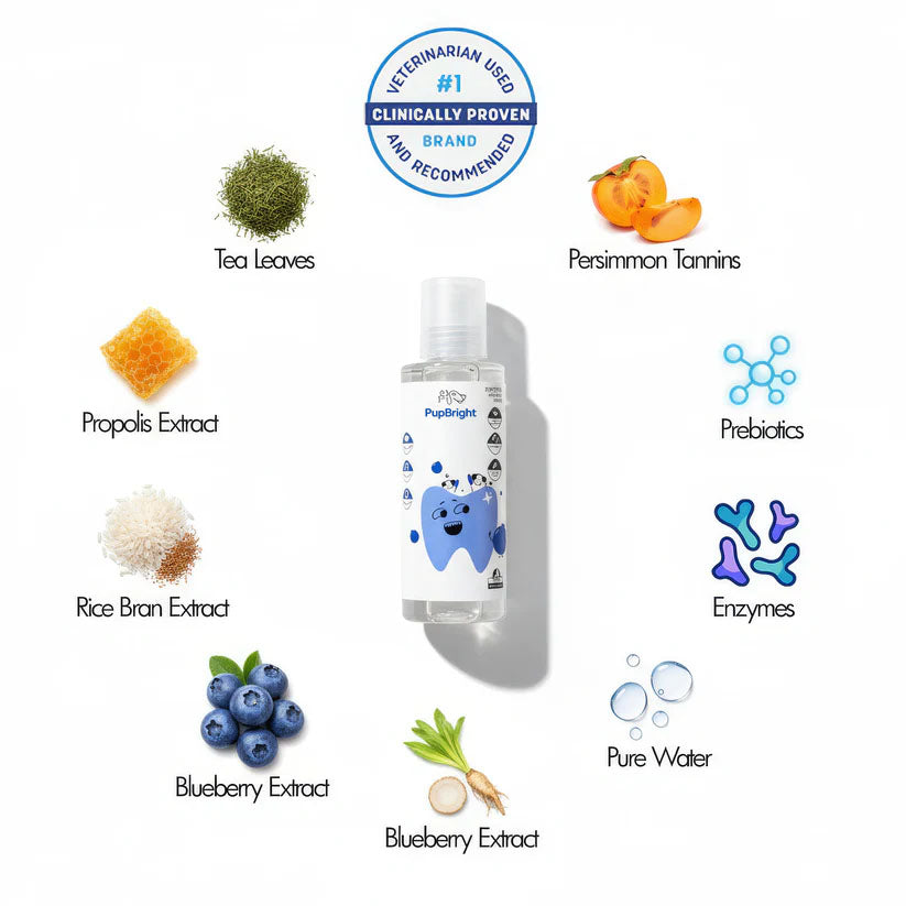 PupBright Vet-Grade Water Additive