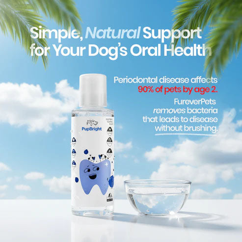 PupBright Vet-Grade Water Additive