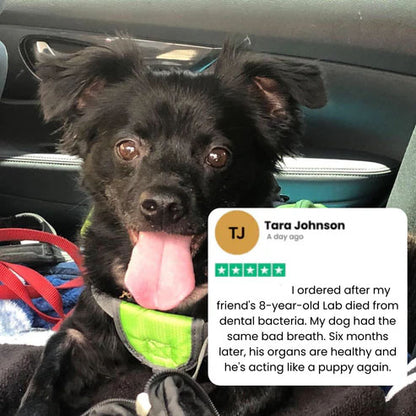 PupBright Vet-Grade Water Additive