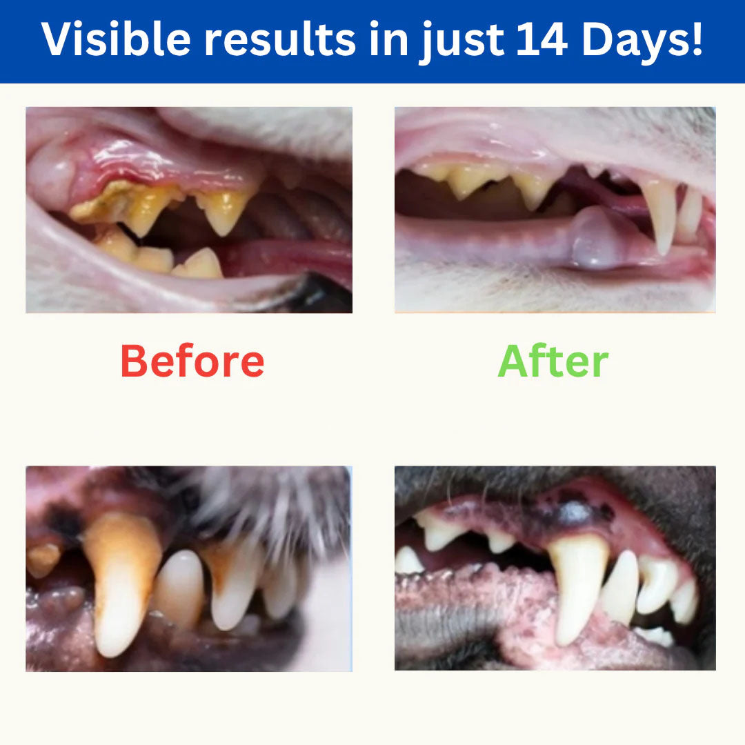 updated advert.jpg__PID:260fbec0-ad6b-428d-a8be-de7950e1763e